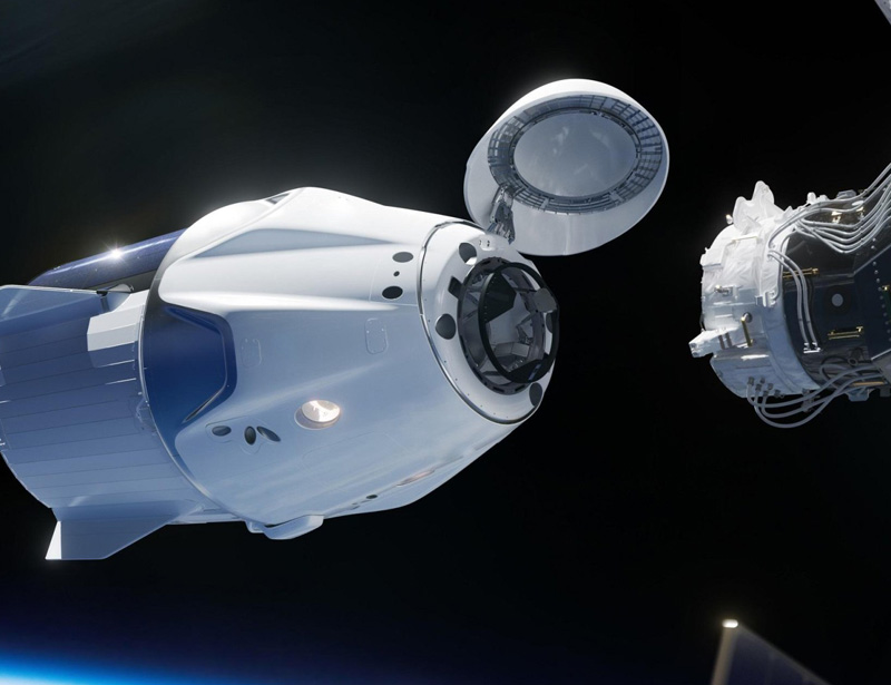 �{�׸�������